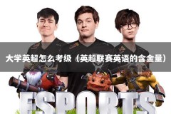 大学英超怎么考级（英超联赛英语的含金量）