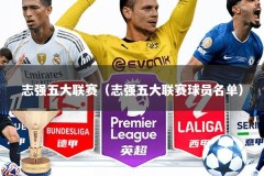 志强五大联赛（志强五大联赛球员名单）