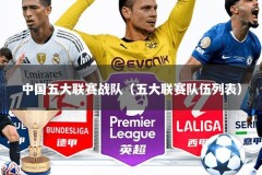 中国五大联赛战队（五大联赛队伍列表）