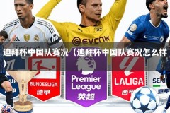 迪拜杯中国队赛况（迪拜杯中国队赛况怎么样）