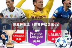 世界杯掘金（世界杯吸金能力）