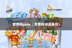 世界杯pmv（世界杯球员身价）
