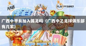 广西中甲有加入国足吗（广西中乙足球俱乐部有几家）