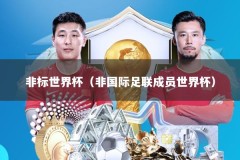 非标世界杯（非国际足联成员世界杯）
