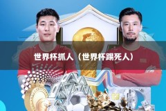 世界杯抓人（世界杯踢死人）