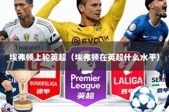 埃弗顿上轮英超（埃弗顿在英超什么水平）