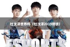 杜汶泽世界杯（杜汶泽2019现状）