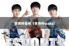 世界杯亳州（世界杯waka）
