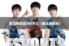 国足降薪至300万位（国足减薪水）