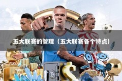 五大联赛的管理（五大联赛各个特点）