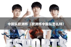 中国队欧洲杯（欧洲杯中国队怎么样）