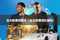 五大联赛球图片（五大联赛球队图标）