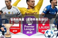 世界杯体重（世界杯身高排行）