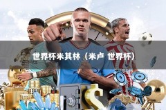 世界杯米其林（米卢 世界杯）