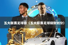 五大联赛足球级（五大联赛足球级别划分）