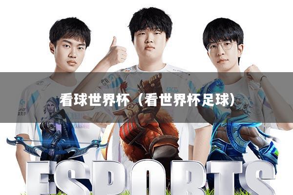 看球世界杯(看世界杯足球)